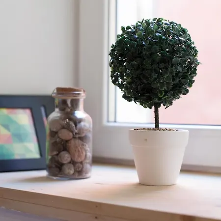 招待所 蓝色旅馆